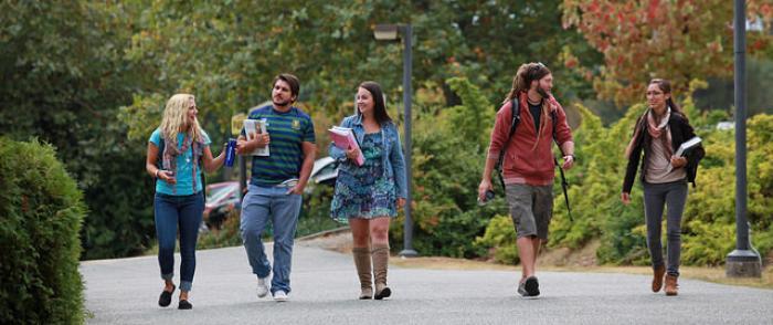 Counselling Services